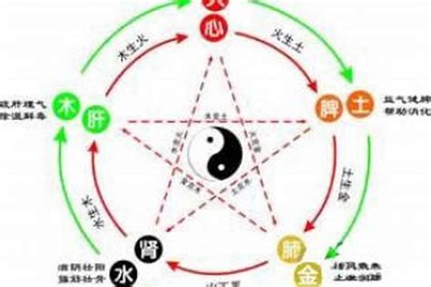 虎五行|虎字的五行属什么